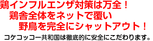 鶏インフルエンザ対策は万全！鶏舎全体をネットで覆い野鳥を完全にシャットアウト！コケコッコー共和国は徹底的に安全にこだわります。。