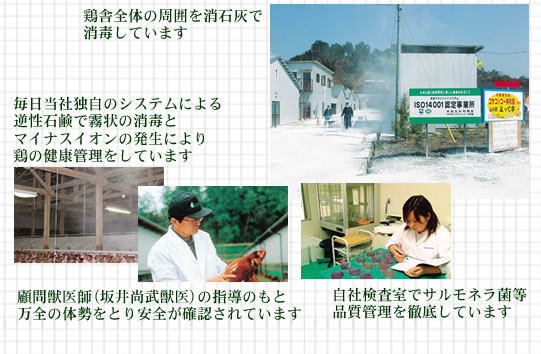 毎日、当社独自のシステムによる逆性石鹸で霧状の消毒とマイナスイオンの発生により鶏の健康管理をしています。顧問獣医師（阪井尚武獣医）の指導の元、万全の体制をとり安全が確認されています。自社検査室でサルモネラ菌等品質管理を徹底しております。